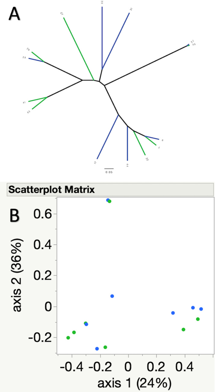 Fig 5