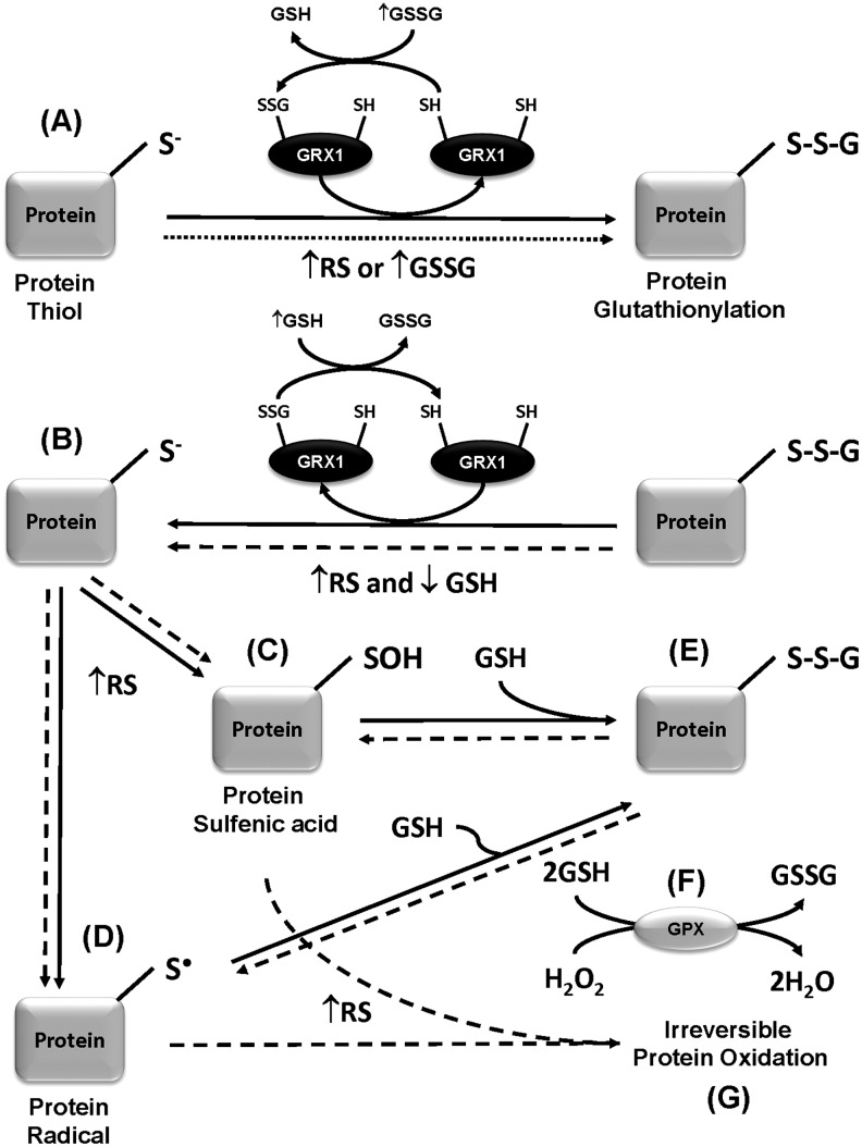 FIG. 8.