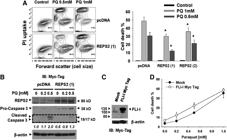 FIG. 6.