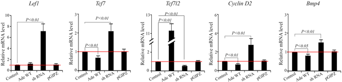 Figure 6.