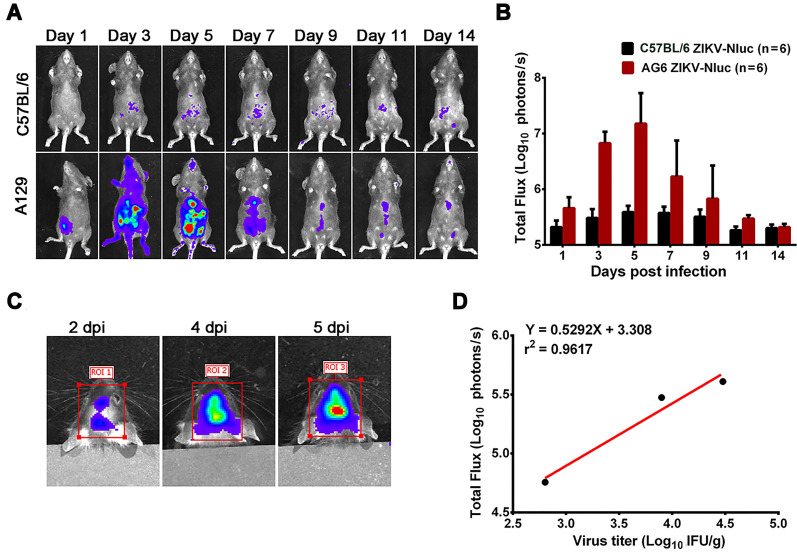 Figure 4