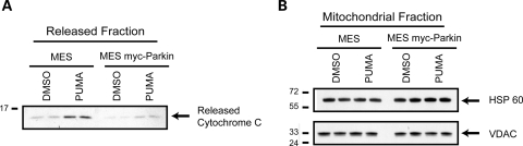 Figure 3.