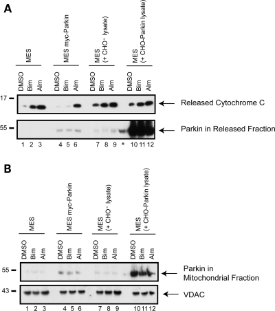 Figure 5.