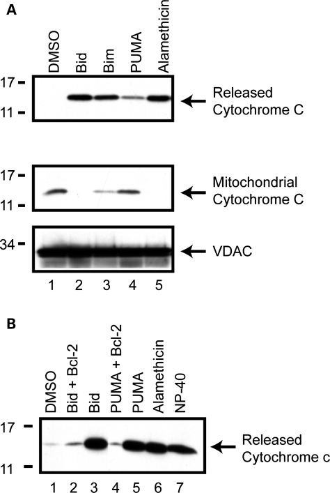 Figure 1.