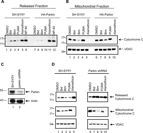 Figure 6.