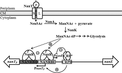 FIGURE 9.