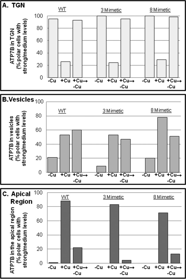 FIGURE 10.