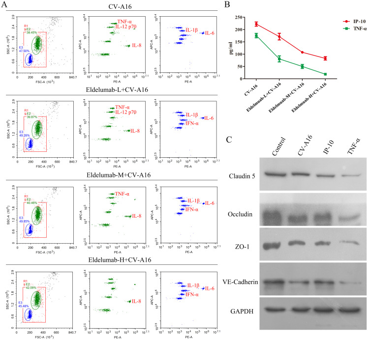 Figure 4