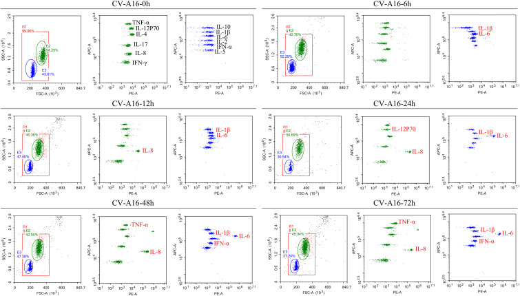 Figure 2