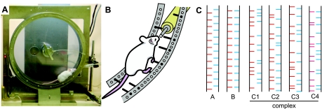 Fig. 1.