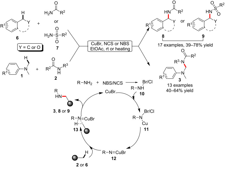 Scheme 2