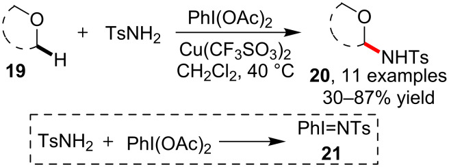 Scheme 5