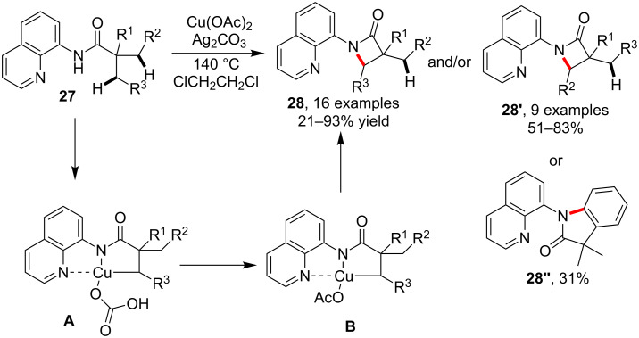 Scheme 8