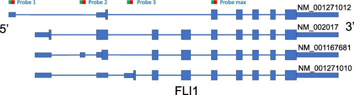 Fig. 10