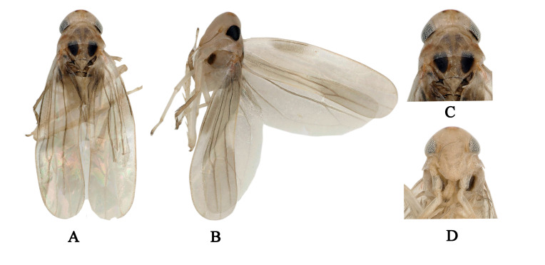 Figure 3.