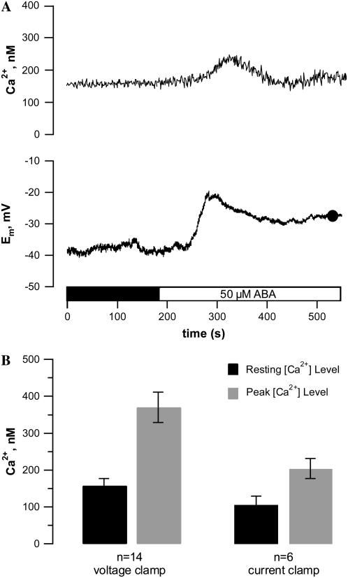 Figure 5.