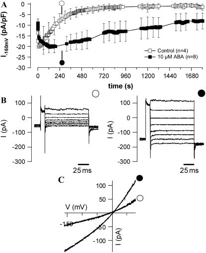 Figure 7.