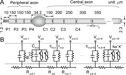 FIG. 1