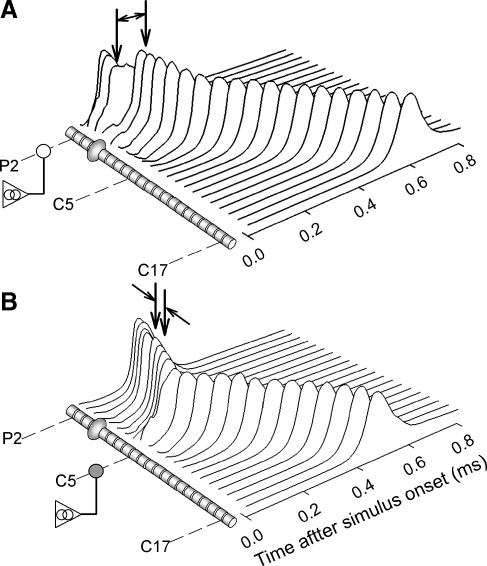 FIG. 2