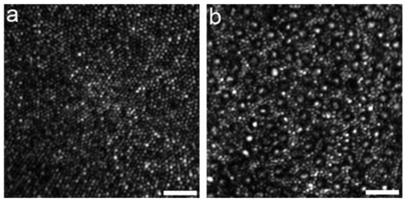 Fig. 13