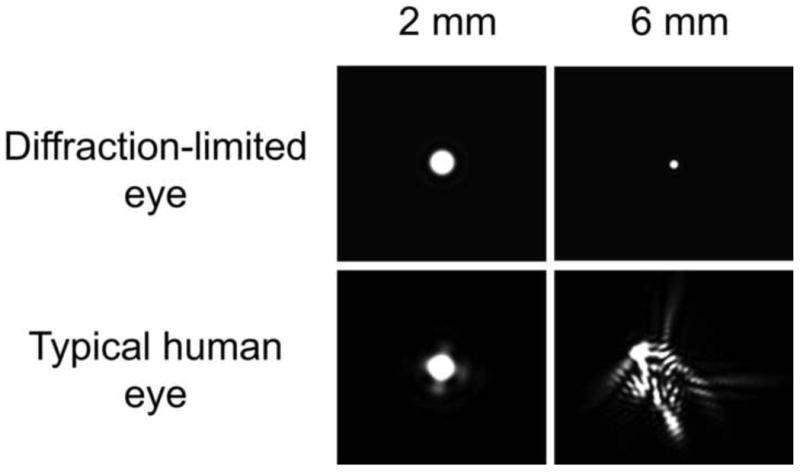 Fig. 6