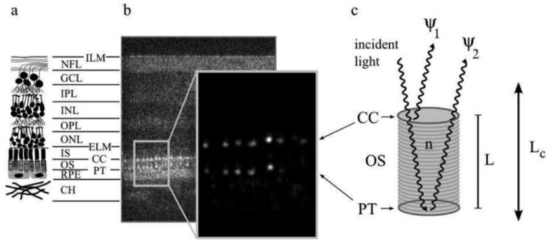 Fig. 17