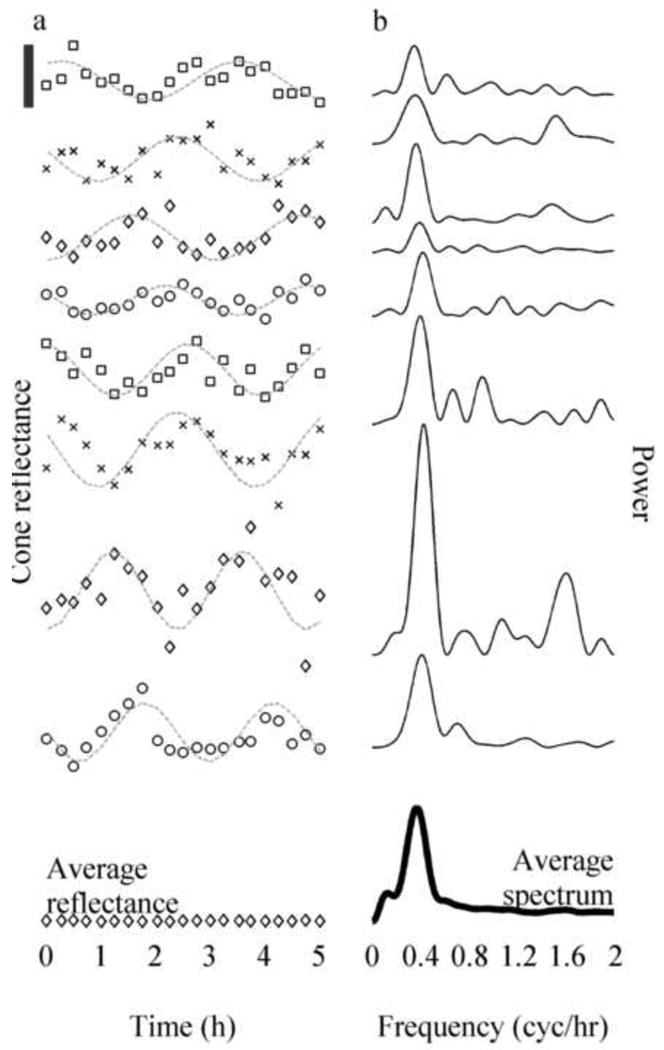 Fig. 18