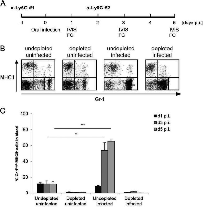 FIG 2