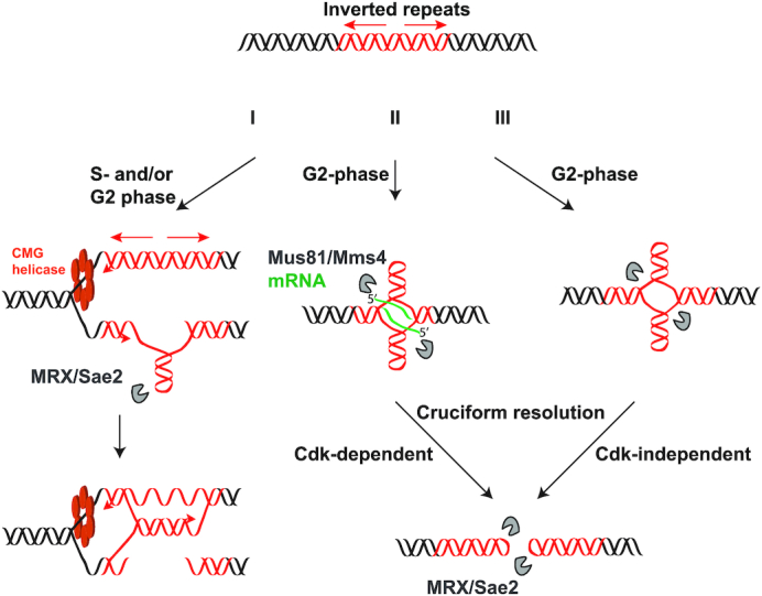 Figure 6.