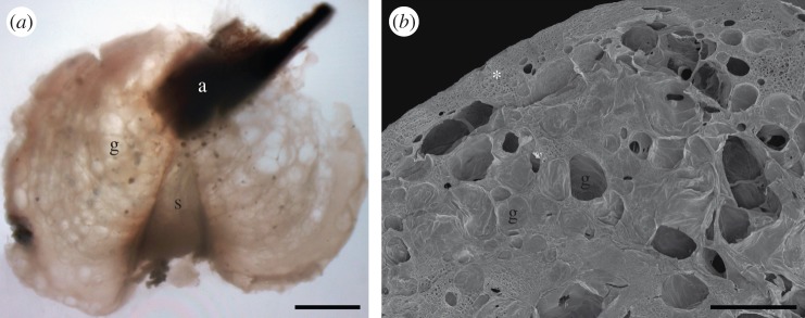 Figure 2.