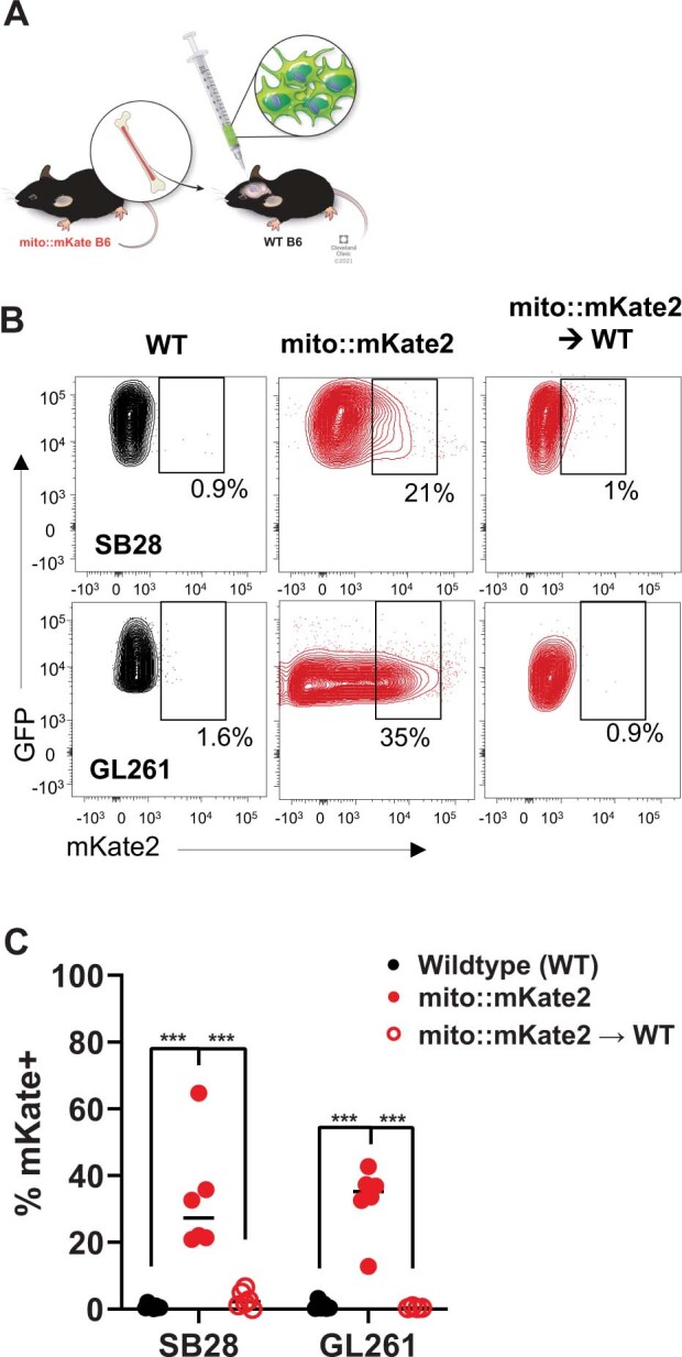 Extended Data Fig. 3