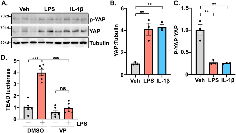 Figure 5.