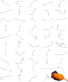 Fig. 2.