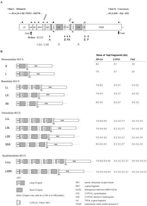 Figure  1. 