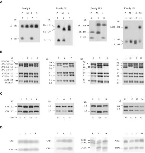 Figure  2. 