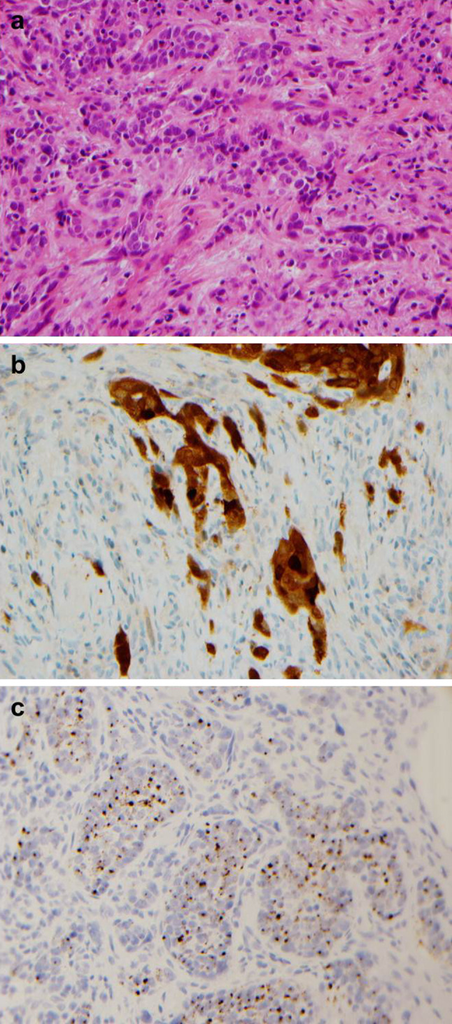 Fig. 5