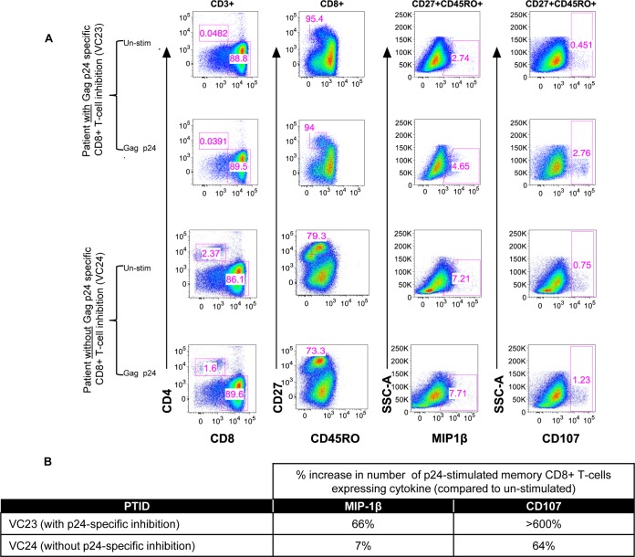 FIG 2