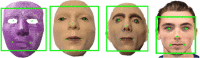 Fig. 9