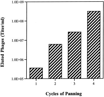 FIG. 1.