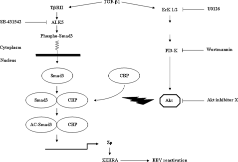 FIGURE 10.