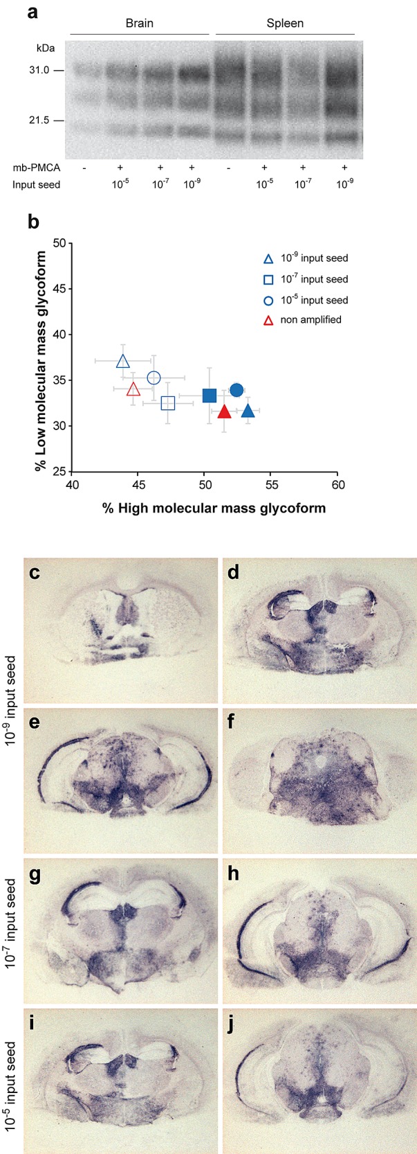 FIG 6