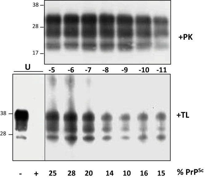 FIG 3