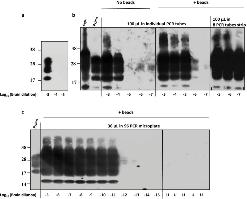 FIG 1