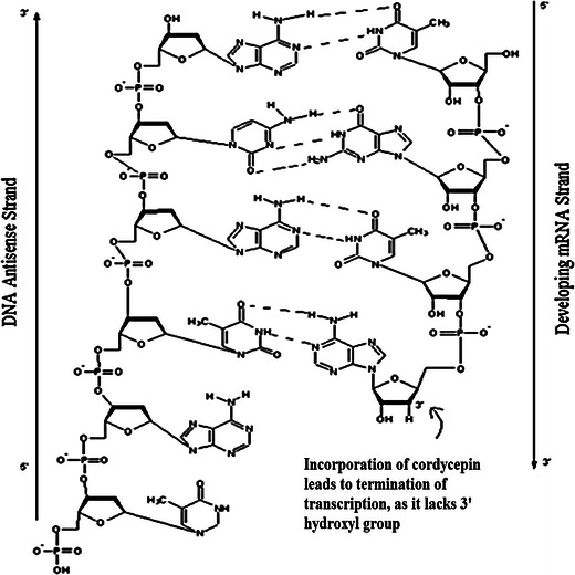 Fig. 3