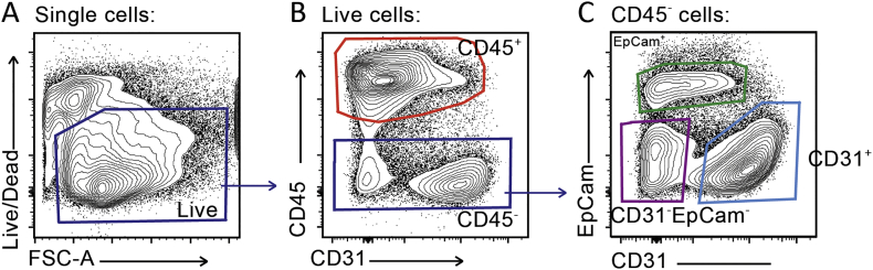 Supplementary Fig. 2