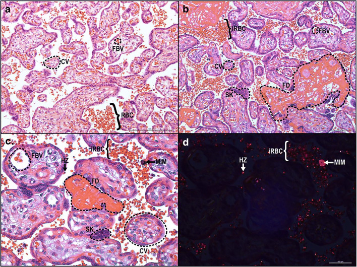 Fig. 2