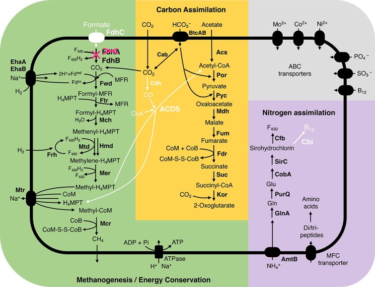 Figure 5