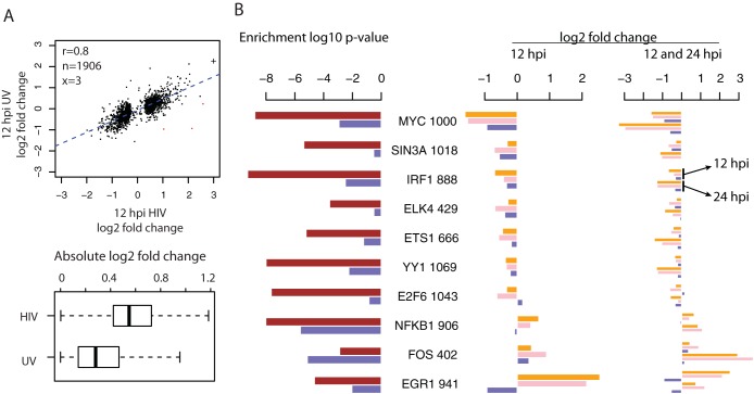 FIG 3