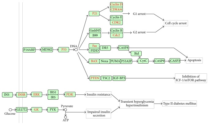 Figure 6