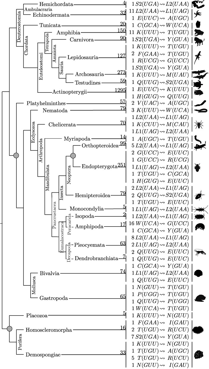 Figure 3.